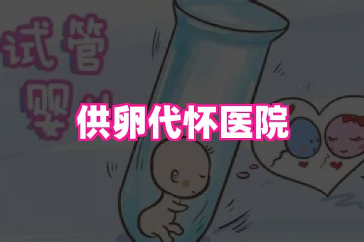 生殖助孕网站 1