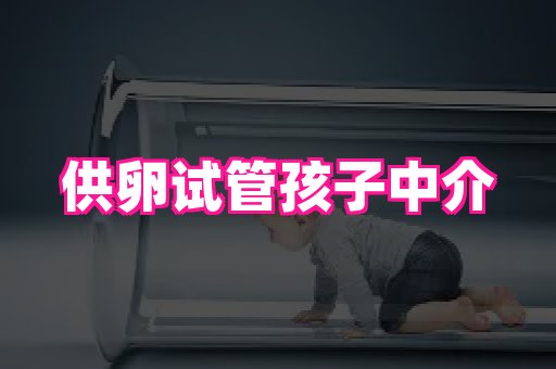 生殖助孕网站 3